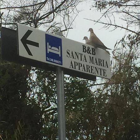 Monolocali B&B Santa Maria Apparente Civitanova Marche Kültér fotó