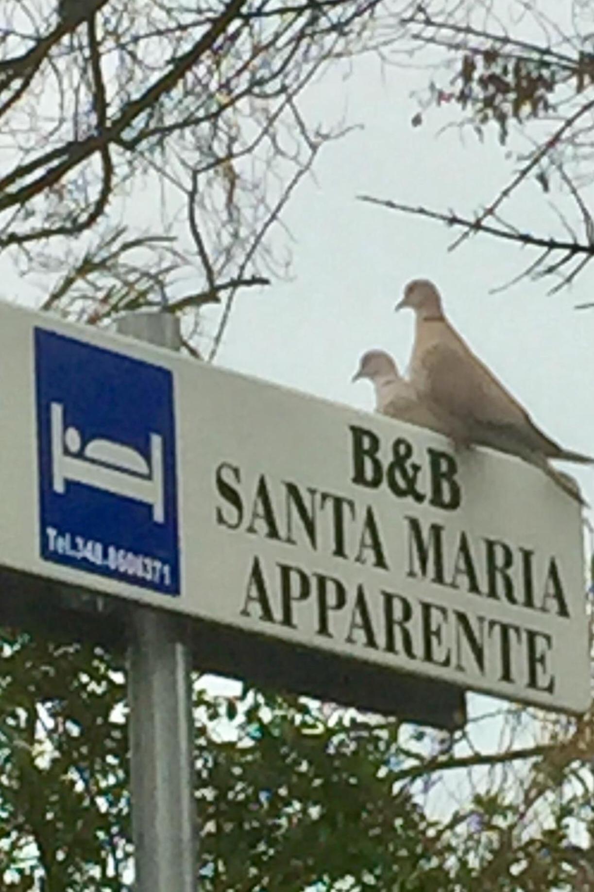 Monolocali B&B Santa Maria Apparente Civitanova Marche Kültér fotó
